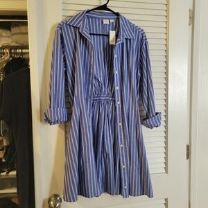 GAP Blue & White Striped Shirt Dress